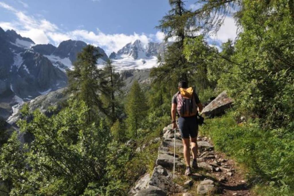 Chalet Rustico Bertolini Per Gruppi! Villa Vermiglio Luaran gambar