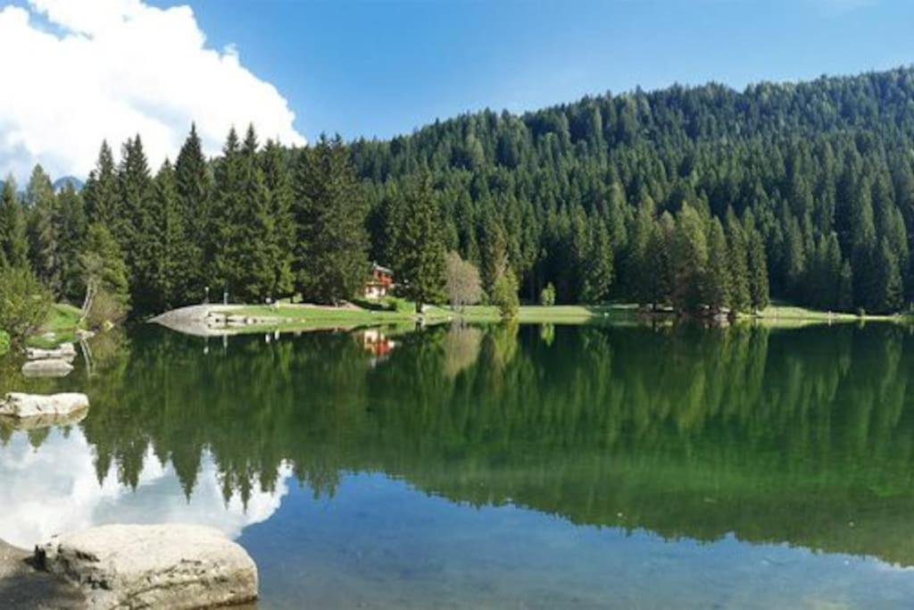 Chalet Rustico Bertolini Per Gruppi! Villa Vermiglio Luaran gambar