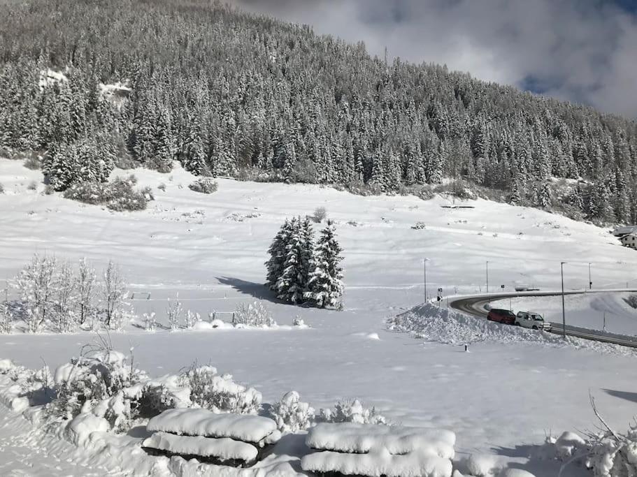 Chalet Rustico Bertolini Per Gruppi! Villa Vermiglio Luaran gambar